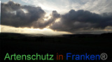 Bild zum Eintrag (922035-177)