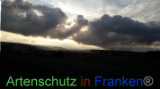 Bild zum Eintrag (922036-177)