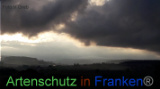 Bild zum Eintrag (922037-177)