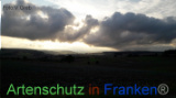 Bild zum Eintrag (922038-177)