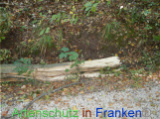 Bild zum Eintrag (922072-177)