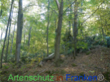 Bild zum Eintrag (922074-177)