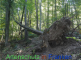 Bild zum Eintrag (922079-177)