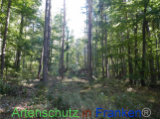 Bild zum Eintrag (922084-177)