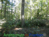 Bild zum Eintrag (922089-177)