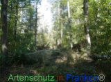 Bild zum Eintrag (922090-177)