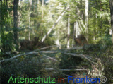 Bild zum Eintrag (922091-177)