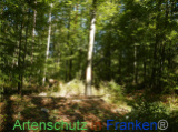 Bild zum Eintrag (922094-177)