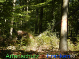 Bild zum Eintrag (922095-177)