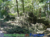 Bild zum Eintrag (922115-177)