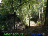 Bild zum Eintrag (922133-177)