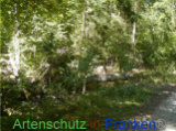 Bild zum Eintrag (922142-177)