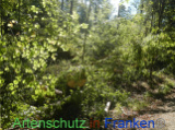 Bild zum Eintrag (922150-177)