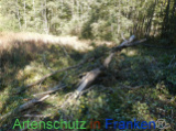 Bild zum Eintrag (922158-177)