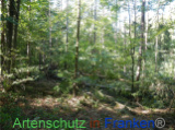 Bild zum Eintrag (922170-177)